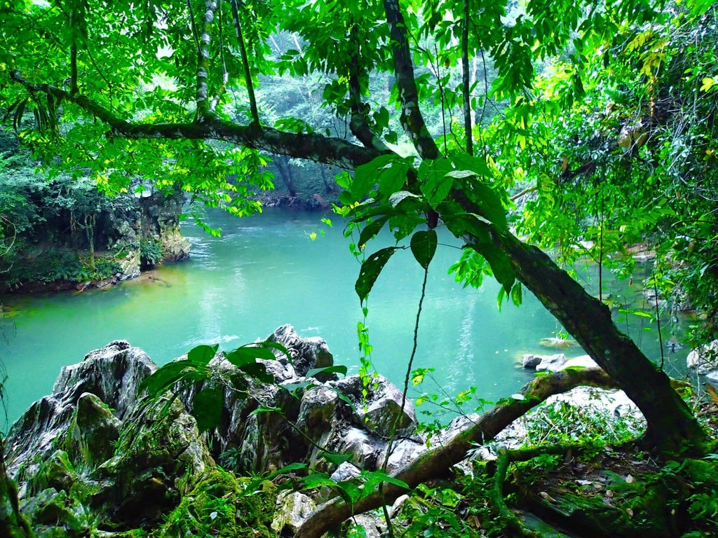 Río Claro - Vista panorámica